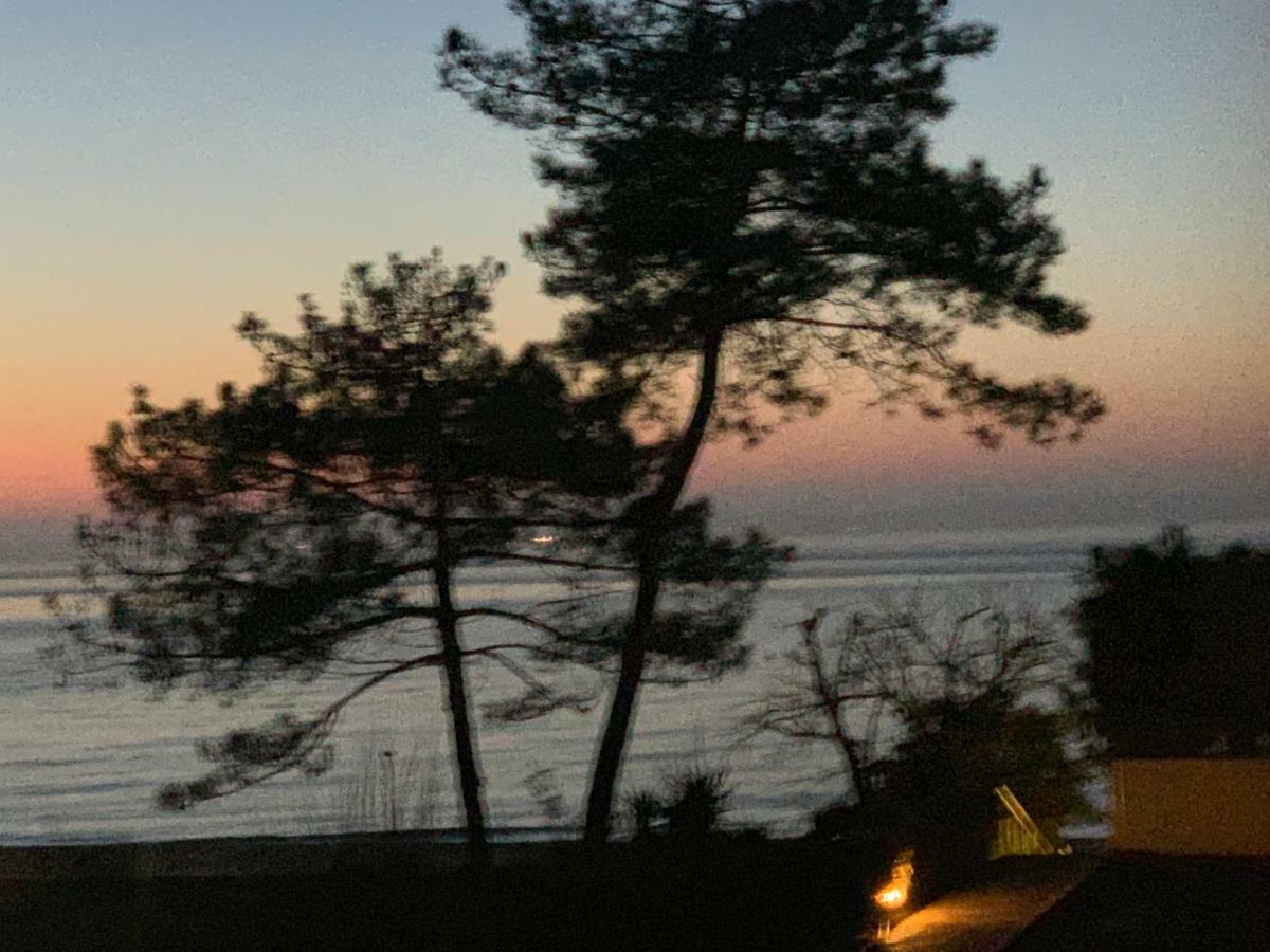 Le Panoramic Διαμέρισμα Αρασόν Εξωτερικό φωτογραφία